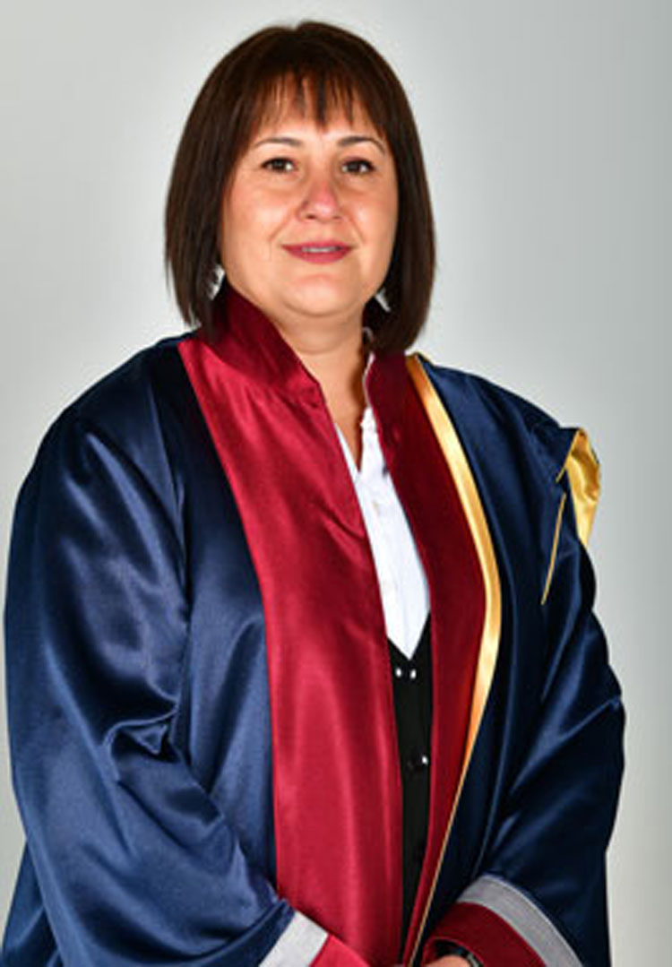 Dr. Öğr. Üyesi Derya BİLGİN