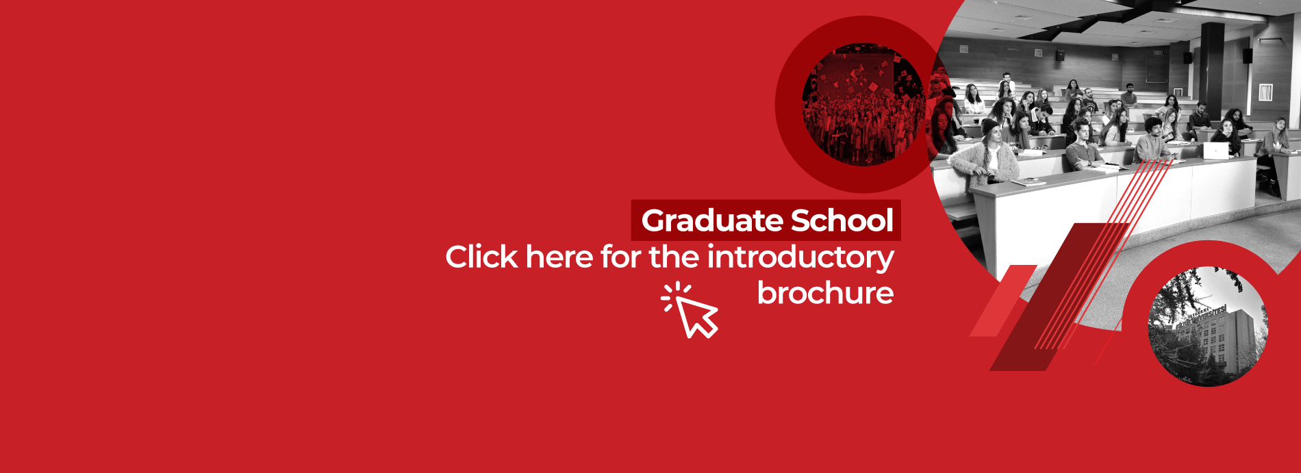 Promotional Brochure